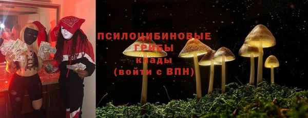 меф Арсеньев