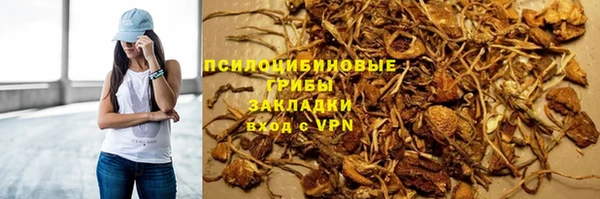 меф Арсеньев